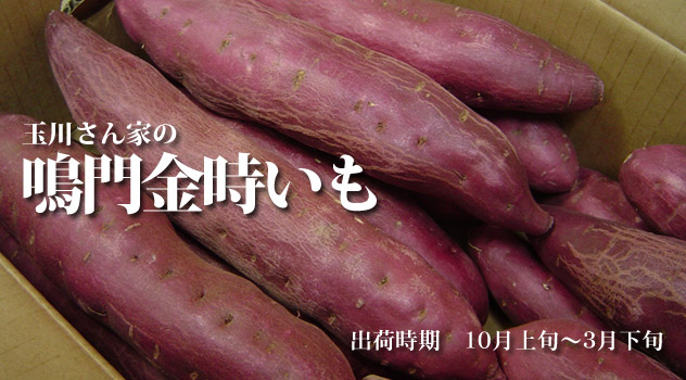 鳴門金時いも 岡山の果物通販ショップ「四季彩 旬楽」が産地直送